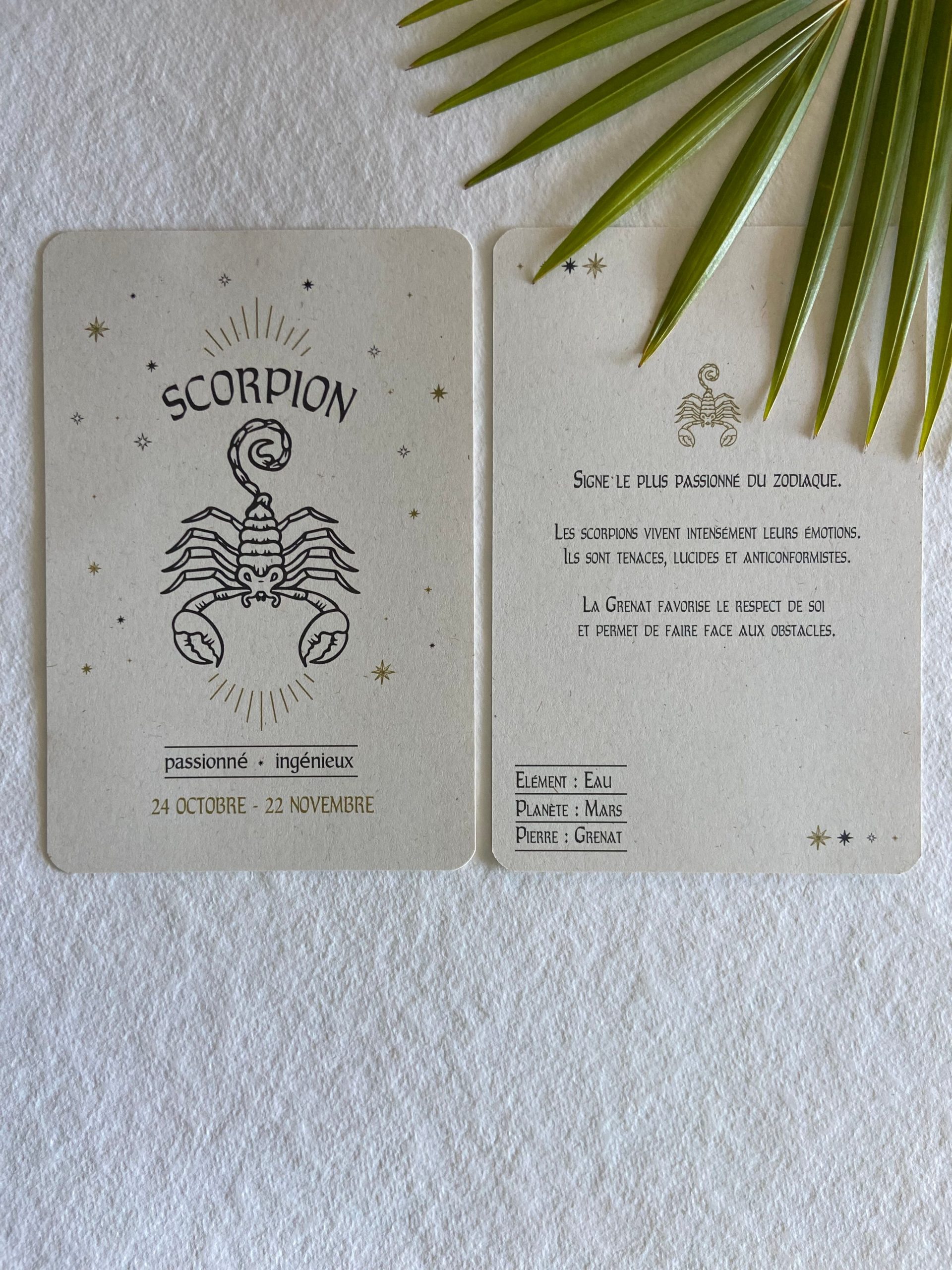 Carte Postale Scorpion