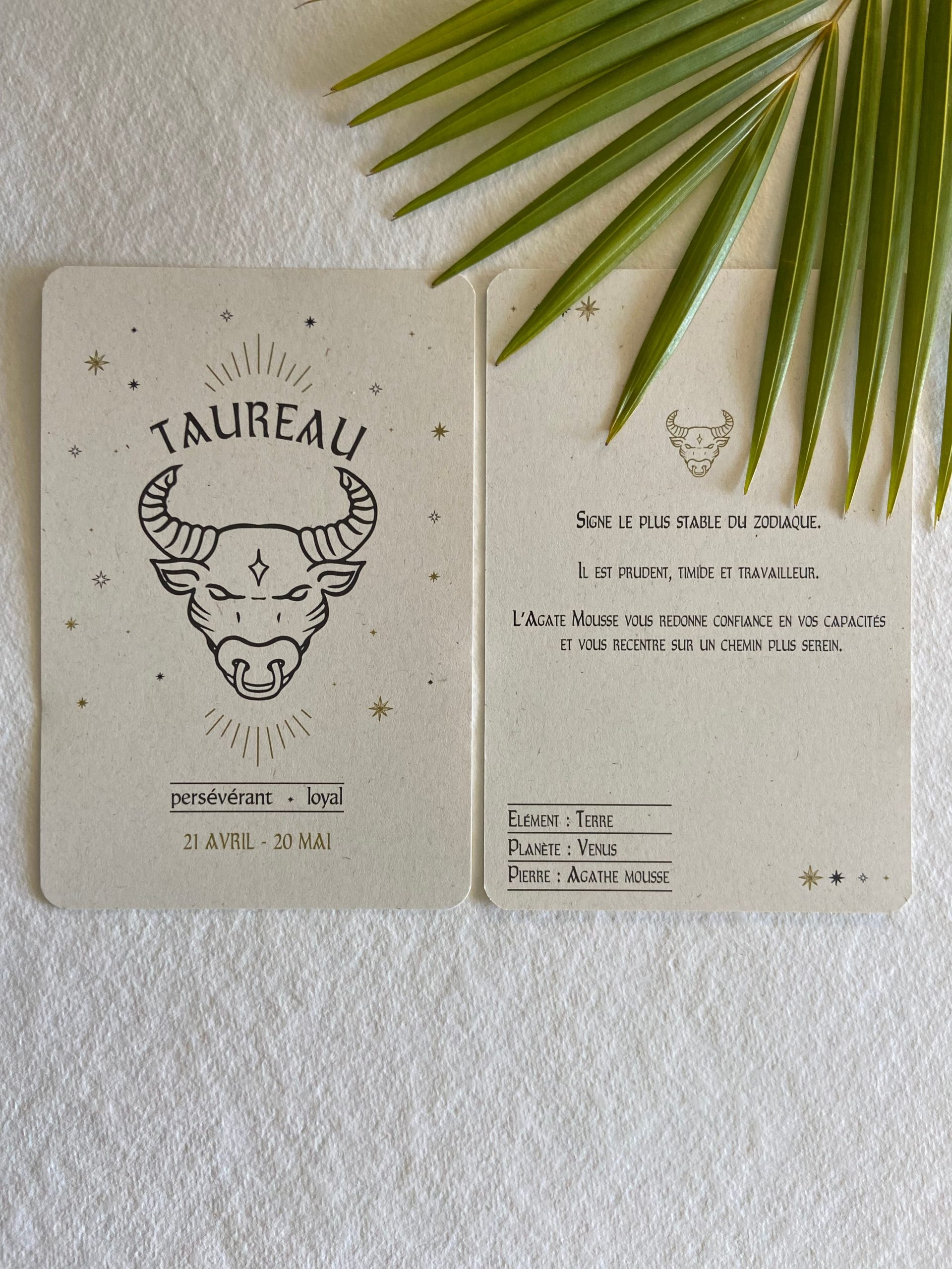 Carte Postale Taureau